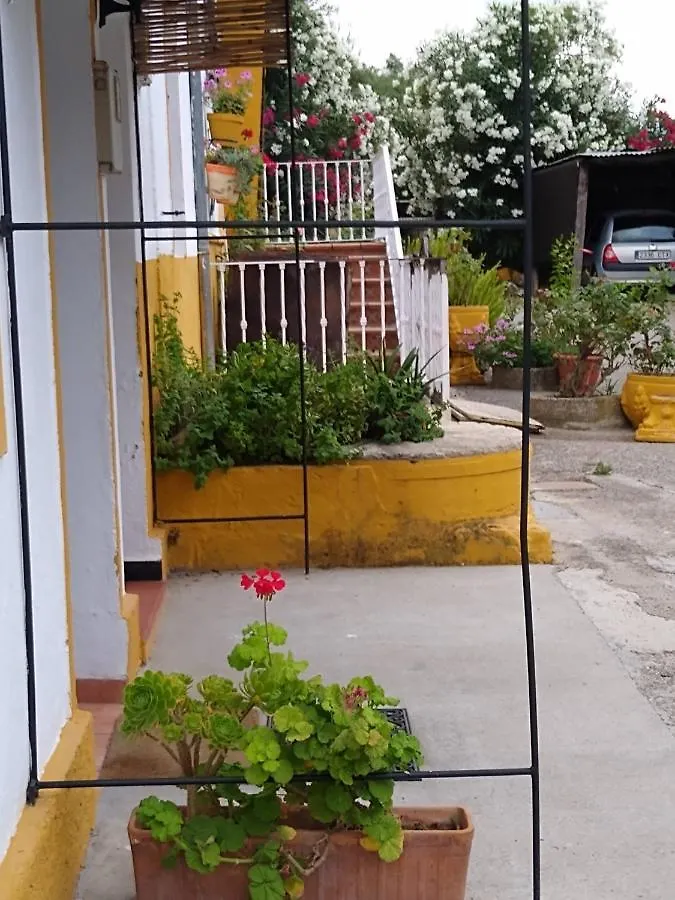 El Antiguo Molino Guest House El Bosque  Country house