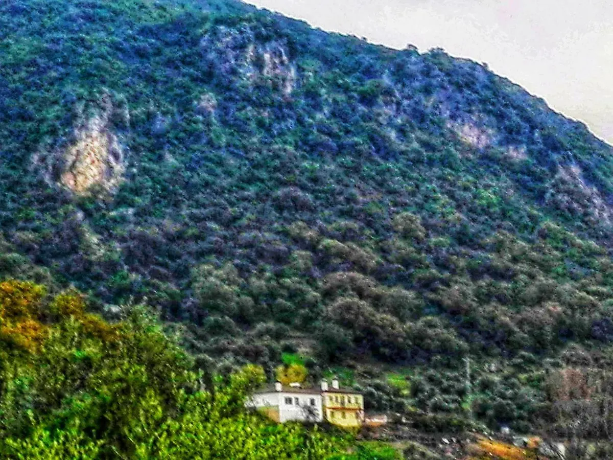 Country house El Antiguo Molino Guest House El Bosque