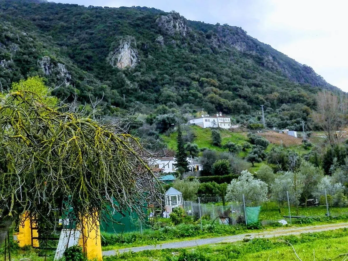 El Antiguo Molino Guest House El Bosque  Spain